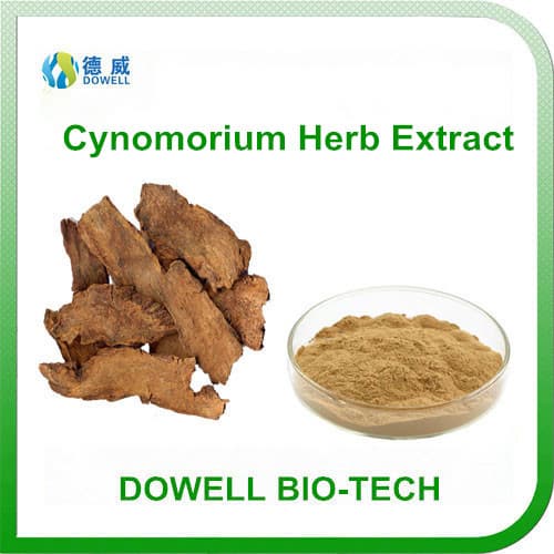 Natural Herbal Cynomorium Herb Extract